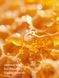 Лосьйон для тіла Victoria's Secret - Sweet Golden Blooms 67904 фото 2