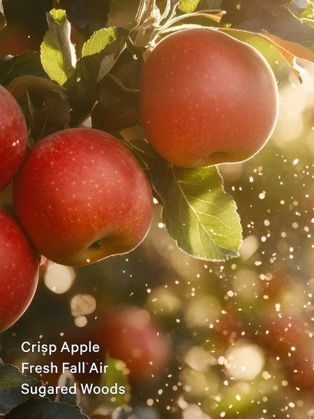 Міст для тіла Victoria's Secret - Dreamy Apple Orchard  4939 фото