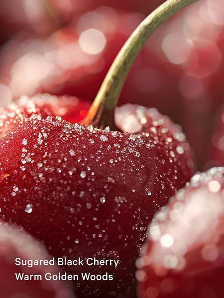 Міст для тіла Victoria's Secret - Forbidden Cherry 2789-250 фото