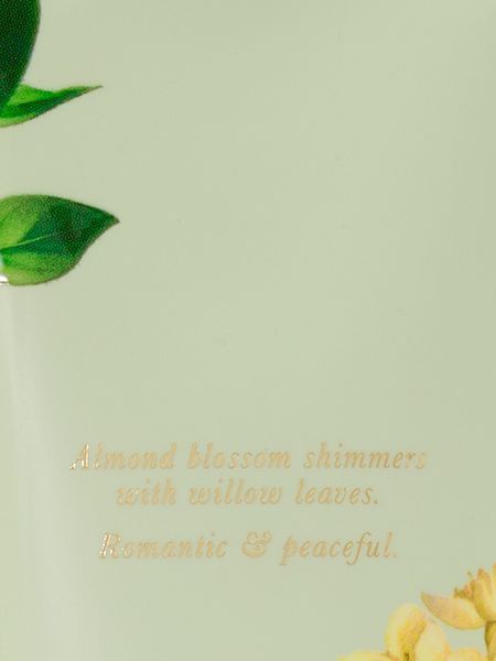 Лосьйон для тіла Victoria's Secret - Wild Willow Body Lotion 10222 фото