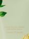 Лосьйон для тіла Victoria's Secret - Wild Willow Body Lotion 10222 фото 2