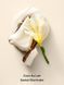 Міст для тіла Victoria's Secret - Coconut Passion Whipped 27313222 фото 2