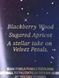 Лосьйон для тіла Victoria's Secret PINK - Velvet Petals STARLIT 10196 фото 2