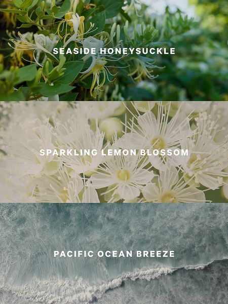 Спрей для тіла Victoria's Secret - Coastal Blooms 27155612 фото