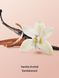 Кремовий гель для душу Victoria's Secret - Vanilla Orchid Sandalwood 63748 фото 2