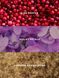 Міст для тіла Victoria's Secret - Valentine's Day Sweet Sugared Violet 27083958 фото 2