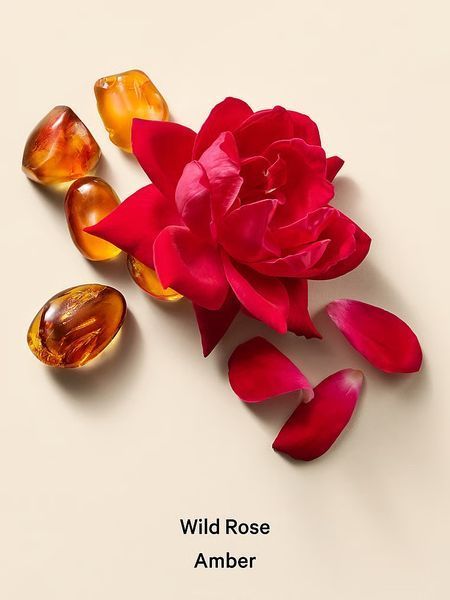 Лосьйон для тіла Victoria's Secret - Wild Rose Amber 26967826 фото