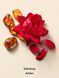 Лосьйон для тіла Victoria's Secret - Wild Rose Amber 26967826 фото 2