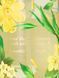 Міст для тіла Victoria's Secret - Wild Willow Body Mist 10214 фото 2