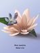 Міст для тіла Victoria's Secret -  Blue Jasmine Water Lily 8788 фото 2