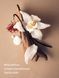 Лосьйон для тіла Victoria's Secret - Bare Sueded Vanilla 26990003 фото 2