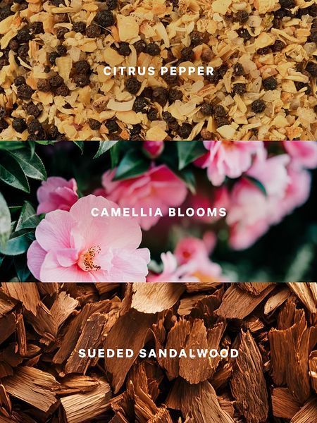 Лосьйон для тіла Victoria's Secret - Camellia Sunset 27086890 фото