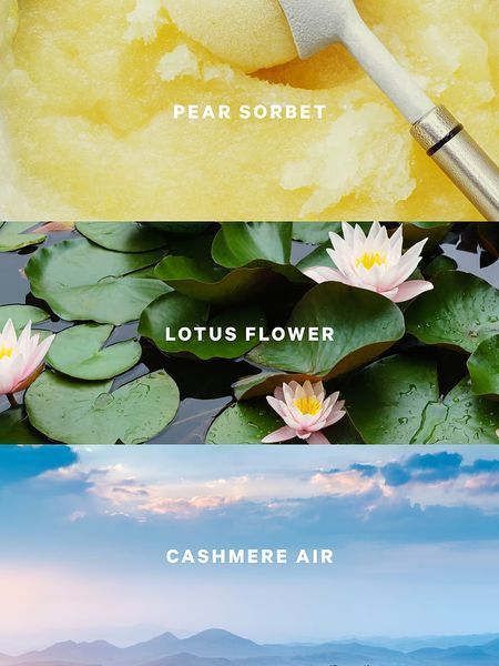 Міст для тіла Victoria's Secret -  Lotus Cloud 27086888 фото