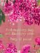 Міст для тіла Victoria's Secret - Dreamy Petals Body Mist 10208 фото 2