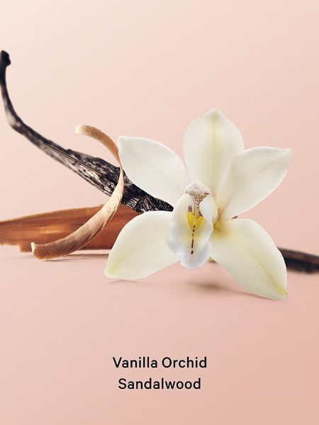 Міст для тіла Victoria's Secret - Vanilla Orchid Sandalwood 8789 фото