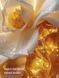 Лосьйон для тіла Victoria's Secret - Seashell Shimmer 27211610 фото 2