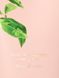 Лосьйон для тіла Victoria's Secret - Sunlit Nectar Body Lotion 10217 фото 2